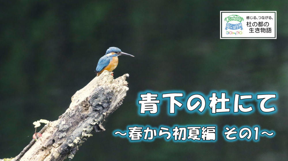̓m1Tl