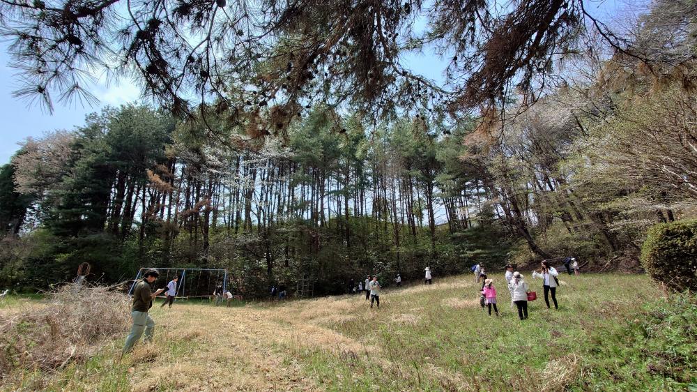公園エリア引き