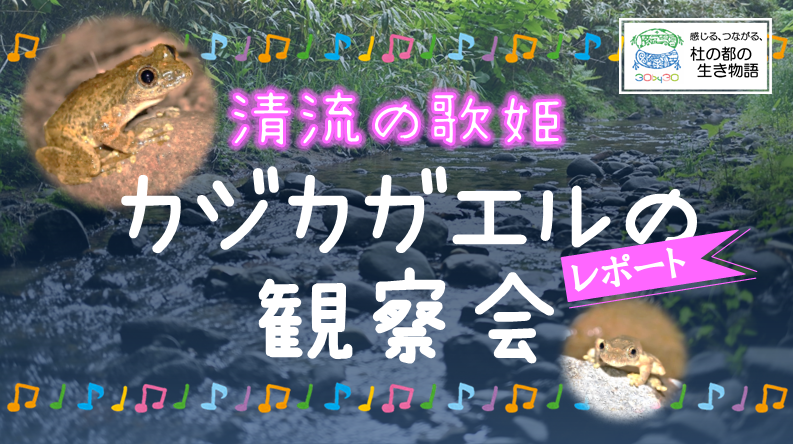 ߘa7Nxum̓s̐`̉̕PJWJKG̊ώ@`vTl