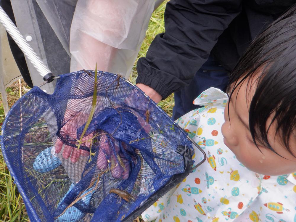  �c�A���T�u�摜(���ӂ̐������̊ώ@)