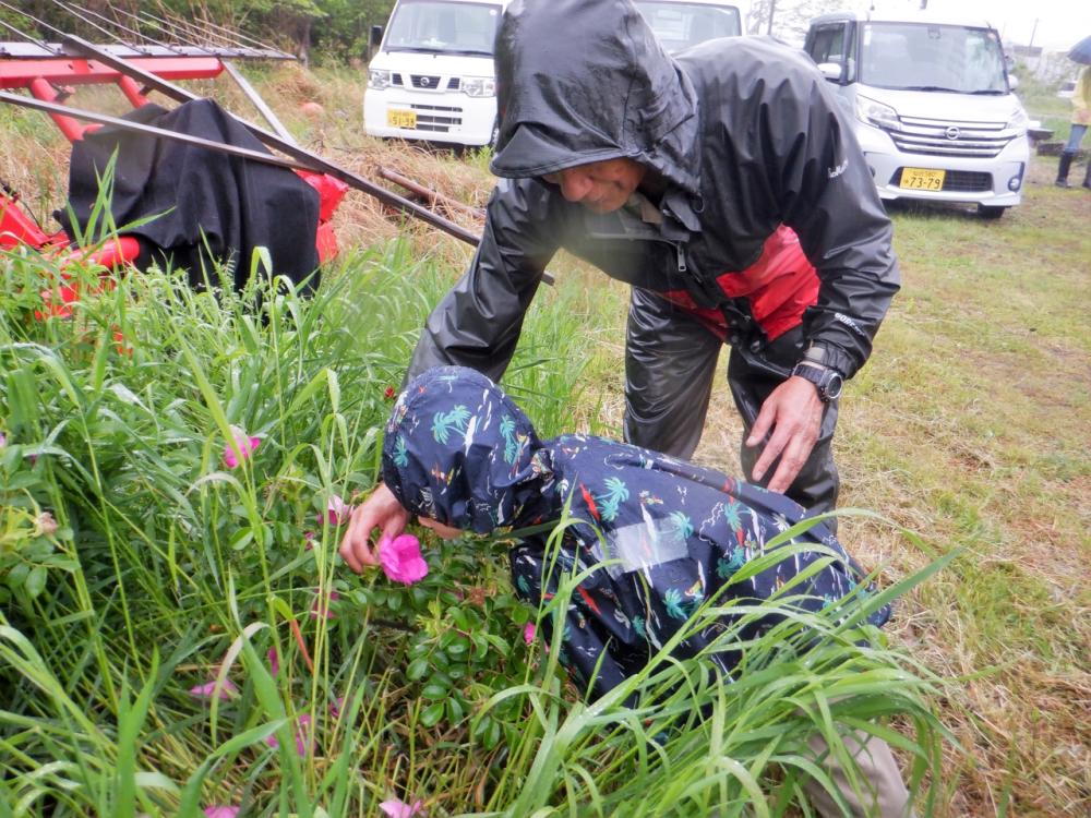 �c�A���T�u�摜�@�������̊ώ@(�A��)